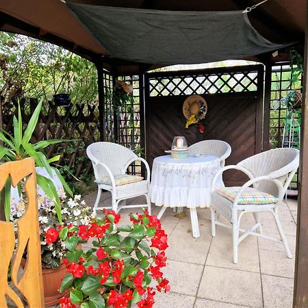Apartamento Ahlbeck, Ferienobjekt Apfel-Blume-Veilchen Heringsdorf  Exterior foto